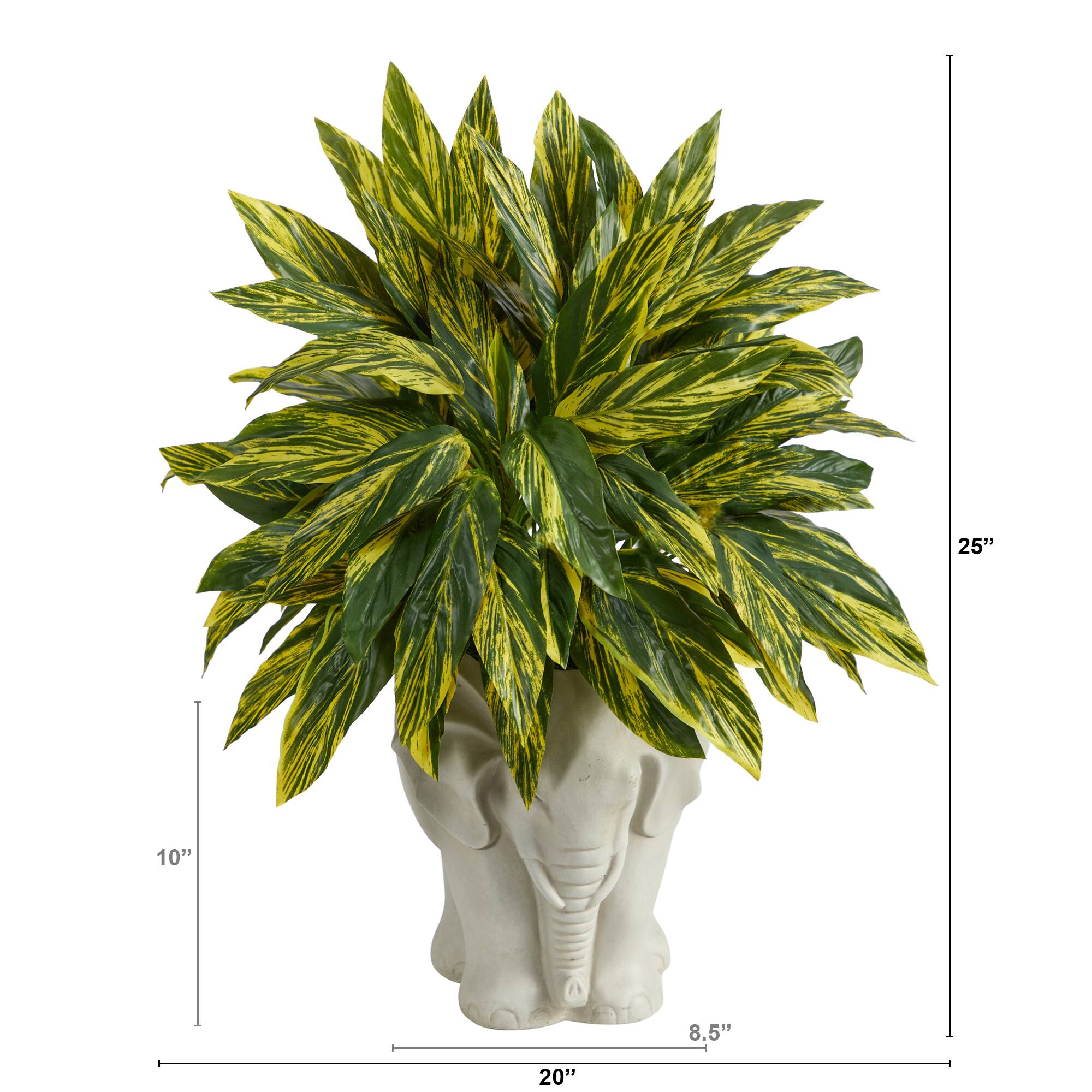 25" Spiderwort Plant in White Elephant Shaped Planter